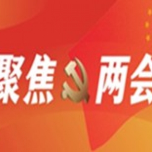 看2021“兩會(huì)”提案如何擘畫“十四五”新藍(lán)圖！
